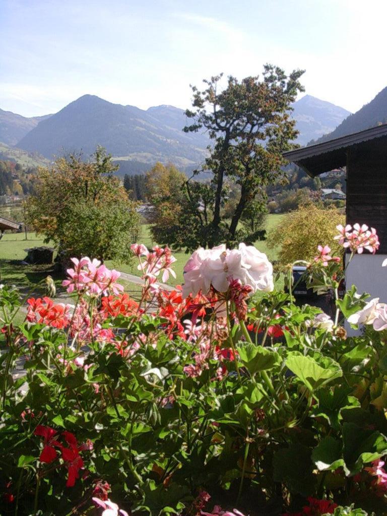 Malernhof Bed and Breakfast Kitzbühel Eksteriør billede