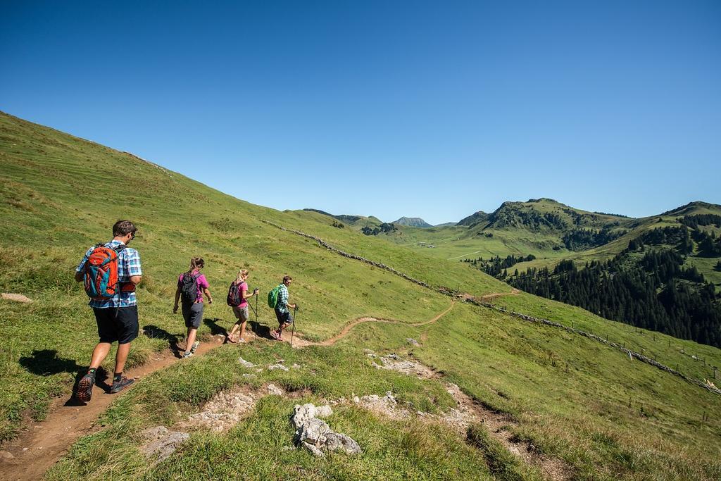 Malernhof Bed and Breakfast Kitzbühel Eksteriør billede